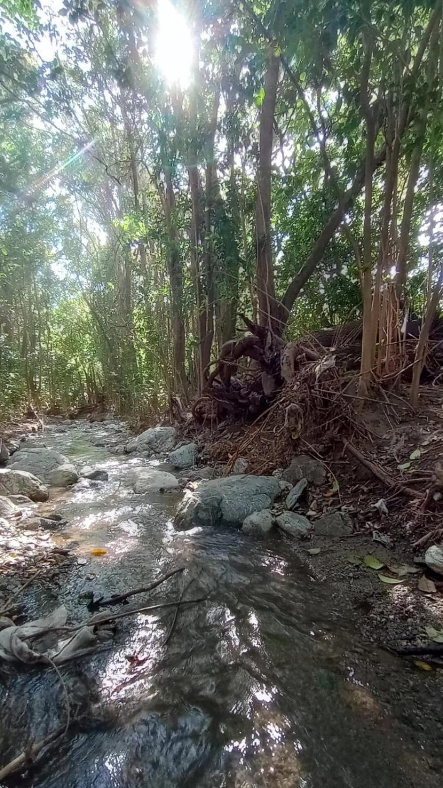 Loma Linda Hostal Y Posada Serrana El Rincon Ngoại thất bức ảnh